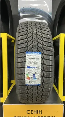 Triangle PL01 225/55 R17 101R(OCH) без шипов