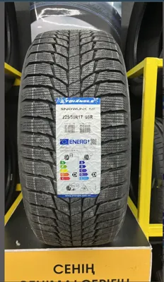 Triangle PL01 225/50 R17 98R без шипов